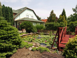 Appartment Rajna Bogacs