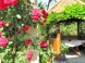 Appartementhaus Judit 19