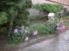 Appartements Haus Jeremias Therme 39
