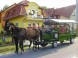Appartementhaus Magdalena 1