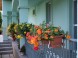 Appartment Rajna 34