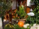 Apartmenthaus Kaktusz Villa  42