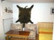 Appartements Haus Jeremias Therme 27