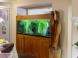 Hotel Orchidea 21