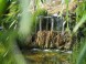 Hunguest Saliris 44