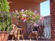 Korona Home Pension & Café 12
