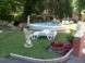 Pension Balaton 7