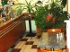 Pension Fenyő & Grill Restaurant 68