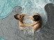 Spirit Hotel Thermal Spa*****, Sarvar 59