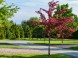Thermal Park Egerszalók****, Egerszalok 5