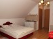 Privat PACSIRTA 36