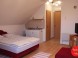 Privat PACSIRTA 43