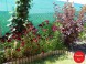 Privat PACSIRTA 59