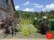 Privat PACSIRTA 4