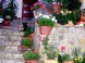 Apartmenthaus Villa Panoráma 16