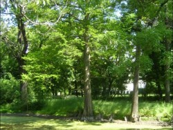 Schlosspark - Borsodivánka Borsodivanka