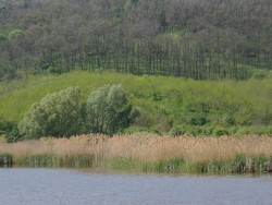 Naturschätze - Tamási Tamási