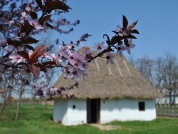 Skanzen Sóstó Nyiregyhaza