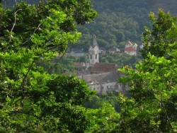 Karmelitenkirche - Sopron Sopron