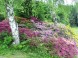 Botanischer Garten in Budafa 3