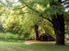 Schloss Festetics - Dég 5