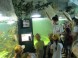 Tropicarium-Oceanarium - Budapest 4