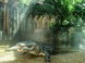 Tropicarium-Oceanarium - Budapest 7