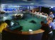 Tropicarium-Oceanarium - Budapest 11