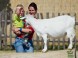 Kittenberger Zoo - Veszprém 4