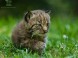 Kittenberger Zoo - Veszprém 6