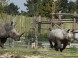 Kittenberger Zoo - Veszprém 7