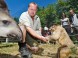 Kittenberger Zoo - Veszprém 9