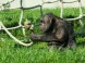 Kittenberger Zoo - Veszprém 15