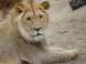Kittenberger Zoo - Veszprém 21