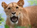 Kittenberger Zoo - Veszprém 20
