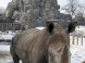 Zoo und Botanischer Garten - Budapest 15