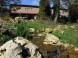 Zoo und Botanischer Garten - Budapest 17