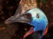 Zoo und Botanischer Garten - Budapest 23