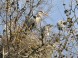Zoo und Botanischer Garten - Budapest 24