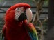Zoo und Naturpark - Debrecen 9