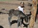 Zoo und Naturpark - Debrecen 12