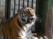 Zoo und Naturpark - Debrecen 14
