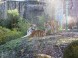 Zoo und Naturpark - Debrecen 15