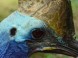 Zoo und Naturpark - Debrecen 16