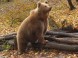 Zoo und Kulturpark - Miskolc 13