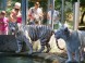 Zoopark - Nyíregyháza 7
