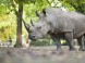 Zoopark - Nyíregyháza 13