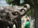 Zoopark - Nyíregyháza 18