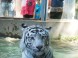 Zoopark - Nyíregyháza 5