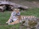 Zoo und Naturpark - Debrecen 3